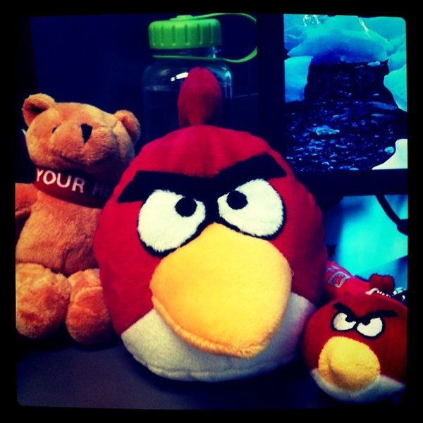 Media_httpimagesinsta_iezaq